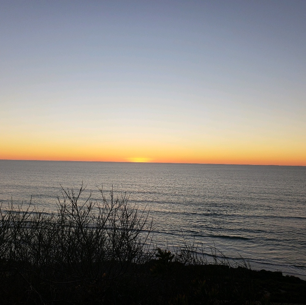 Meet your Posher, Mani